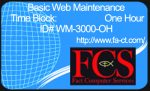One Hour of Website Maintenance
